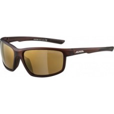 Sunglasses Alpina Defey - frame brown transp matt lenses gold mir