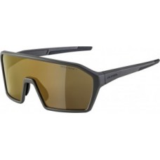 Sunglasses Alpina Ram HM+ - frame coffee grey matt lenses gold mir