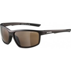 Sunglasses Alpina Defey - frame tinn matt-black lenses brown mir
